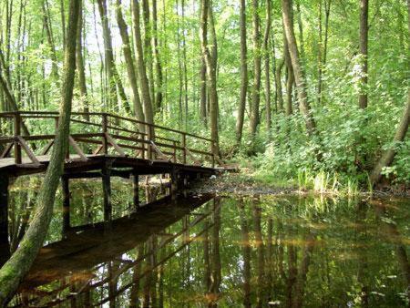 Landgasthof Zum Muehlenteich Eggersdorf  Exteriér fotografie
